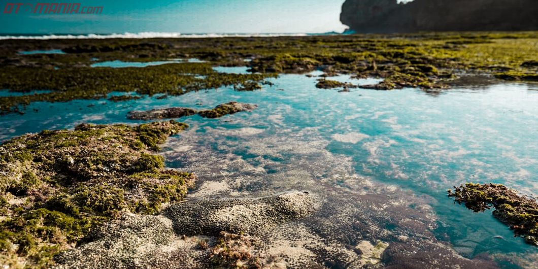 Toyota Fortuner Hidden Beach, Permukaan Air Laut Pantai Ngedan yang Bersih