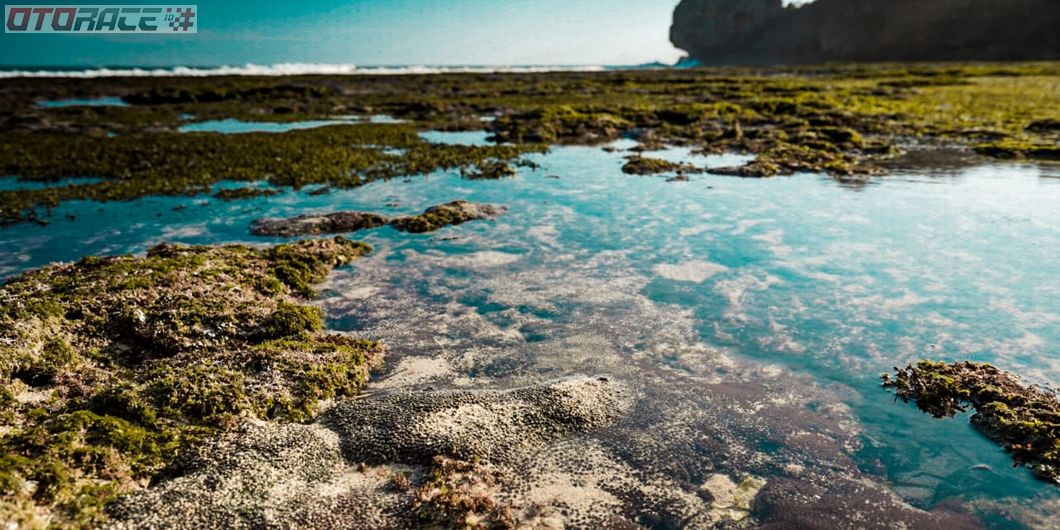 Toyota Fortuner Hidden Beach, Permukaan Air Laut Pantai Ngedan yang Bersih