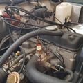 Mesin Mobil Jarang Dipanaskan Bisa Jadi Sarang Tikus, Mengapa?