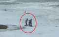 Pria Kendarai Honda Vario di Pantai, Didorong Orang Sampai Motor Hilang Ditelan Ombak