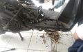 Sekadar Mengingatkan, Ini Cara Cegah Motor Jadi Sarang Binatang Saat PSBB