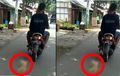 Bikin Geram! Viral Pemotor Ngegas dan Seret Kucing di Pekalongan, Ini Kesaksian Perekam