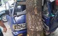 Suzuki Carry Ringsek, Muka Amblas, Bodi Hancur Kalah Lawan Pohon