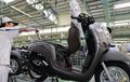 Honda Scoopy Tampil Segar, Grafis Baru Buat Ketujuh Warna