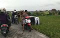 Shortcut Terviral di Bali, Indah Tapi Kendaraan Sering Nyemplung Sawah