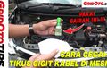 Video Tips Receh Ryan, Begini Cara Cegah Tikus Gigit Kabel di Mesin