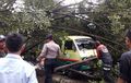Waspada Hujan Angin, Beringin Tumbang Timpa Angkot dan Motor di Gedebage