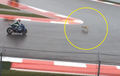 Red Flag Pernah Keluar di MotoGP Amerika Gara-gara Seekor Hewan