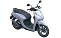 Bocor! Ini Tampang Honda Scoopy Baru Atau Motor Baru Bernama Genio?
