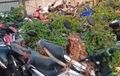 Puluhan Motor Ketutup Tanaman Liar, Eh Ada Yamaha R15 Warna Kuning yang Jadi Idaman