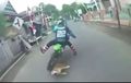 Kawasaki KLX150 Adu Banteng Lawan 'Anjing Oren', Terpelanting Tersungkur ke Aspal