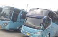 Harga Bus Bekas dari PT Blue Bird, Pemakaiannya Cuma 5 Tahunan