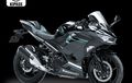 Ninja 250 Dapat Penyegaran, Hadirkan Dua Warna Baru, Dibanderol Rp 75 Jutaan