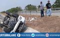 Pecah Ban, Mitsubishi Pajero Sport Terpelanting Keluar Jalur Tol, Berakhir Rebahan dan Ringsek