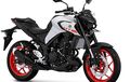 Yamaha MT-25 Versi 2020 Enggak Benar-benar Baru, Simak Empat Ubahan Dari Model Sebelumnya!