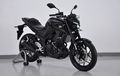 Ini Dia Detail 4 Perubahan Besar Pada Yamaha MT-25 versi 2020, Setengah ke Depan Baru!
