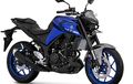 Dijual Rp 53,9 Juta, Harga Yamaha MT-25 Terbaru Naik Rp 5 Juta Lebih