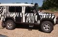 Bukan Mobil Operasi Zebra, Land Rover Defender Tampil Unik Pakai Warna Hitam Putih