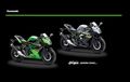 Boyong Kawasaki Ninja 250SL di Jakarta Dapat Diskon Dari KMI, Segini Harganya
