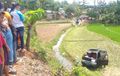 Niat ke Pelaminan Berakhir Nahas, Pikap Pembawa Rombongan Pengantin Masuk Sawah, Nyawa Melayang