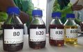 Bahan Bakar Biodiesel Kena Suhu Dingin Bisa Jadi Gel? Ini Kata Ahlinya