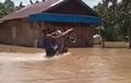 Video Kocak, Banjir Sebetis Bukannya Pilih Nongkrong di Warung Eh..Malah Wheelie! 
