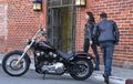 Harley-Davidson Softail Standard 2020 Hadir di Amerika Serikat, Segini Harganya