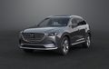 Mazda CX-9 AWD Punya Fitur Safety, Bisa Deteksi Objek Malam Hari