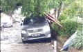 Kijang Innova, Sigra dan Baleno Ringsek di Solo, Tertimpa Pohon, Ulah Angin Ribut