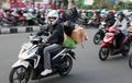 Ternyata  Warga Jakarta Masih Bisa Mudik, Tapi Hanya ke Kota Tertentu di Daftar Ini