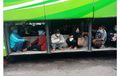 Berjejer Macam Barang, Pemudik Ini Rela Duduk di Bagasi Bus Untuk Hindari Razia, Bayar Mahal Rp 450 Ribu!
