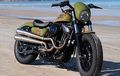 Harley-Davidson Forty-Eight Tampak Kurus Bergaya Vintage Beach Racing