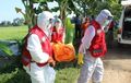 Tukang Ojek Tergeletak Tak Bernyawa di Pinggir Sawah, Petugas Medis ber-APD Lengkap Beraksi