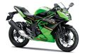 Memiliki Livery Berbeda, Selisih Harga Kawasaki Ninja 250SL di Indonesia dan Thailand Cuma Segini