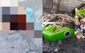 Motor Ninja Bersimbah Darah, Biker Tewas dengan Luka Parah di Leher, Bukan Ulah Begal Sadis