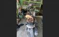 Baru Juga Diservis, Honda Vario di Yogyakarta Tiba-tiba Terbakar Sampai Hangus, Ternyata Penyebabnya dari Hal Ini
