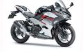 Simulasi Kredit Kawasaki Ninja 250 ABS SE, Angsurannya Mulai Rp 2 Jutaan Sob