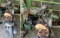 Honda Vario Tersendat-Sendat, Keluar Asap Lalu Terbakar, Sehari Sebelumnya Sempat Diservis