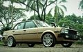 Corolla DX 1982 Tiru Warna Peugeot 505 GR, Kaki-kaki Comot Jimny dan Zebra