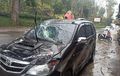 Toyota Avanza Kaca Retak, Atap Bonyok Tertimpa Pohon, Satu Motor Ambruk