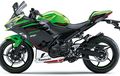 Kawasaki Ninja 400 Tahun 2021 Hadir Dalam 15 Pilihan Warna, Harga Rp 99 Jutaan