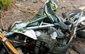 Kawasaki KLX 150 Tergeletak Terjang Pohon, Pemotor Tewas, Kondisi Wajah Remuk