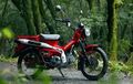 Honda CT125 Mengaspal di Indonesia, Desainnya Mirip CT110 Hunter Cub