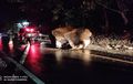 Heboh di Kota Padang, Batu Segede Gajah Jatuh Menutup Jalanan 