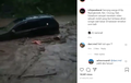 Video: Honda HR-V Hitam Hanyut Terseret Kuatnya Arus Sungai, Nyangkut di Jembatan