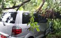 Suzuki APV Ambrol Atas, Atap Melengkung Ditindih Pohon, Hujan Angin Landa Sukabumi