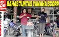 Lagi Cari Yamaha Scorpio Bekas Buat Dipakai Harian? Tonton Video Ini
