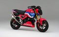 Honda GROM 2021 Versi HRC, Sporty dan Siap Balap, Tersedia Maret 2021