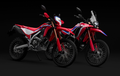 Dibandingkan CRF250 Rally, Dimana Letak Perbedaan Honda CRF250L?