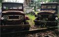 Toyota FJ40 dan BJ40 Berserakan Tak Terurus di Kebun Sawit, Seakan Minta Direstorasi